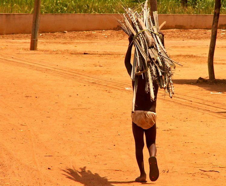 Photos: Benin (pictures, images)