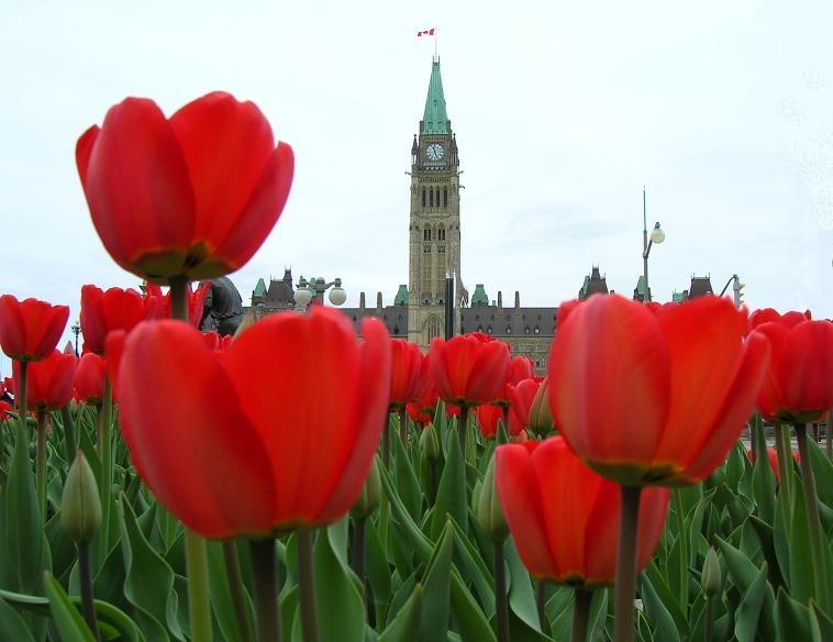 Photos: Canada (pictures, images)