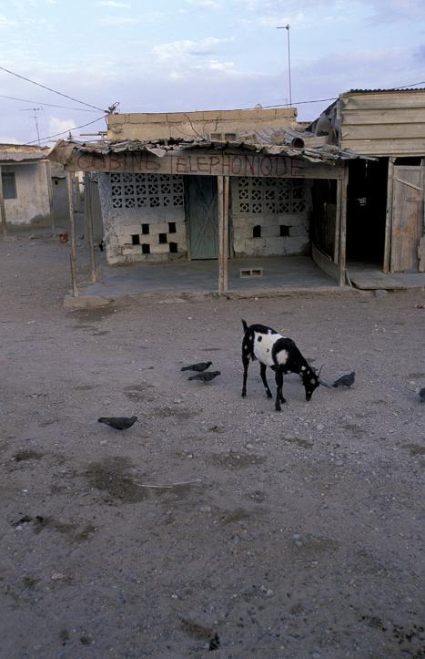 Photos: Djibouti (pictures, images)