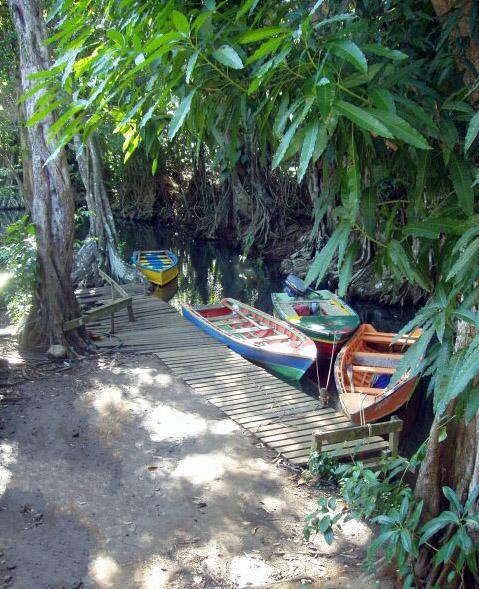 Photos: Dominica (pictures, images)