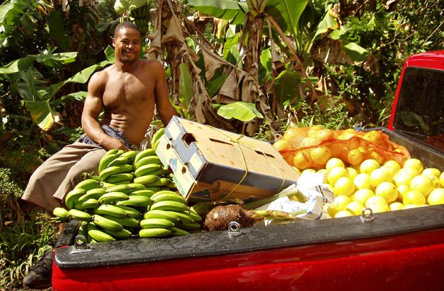 Photos: Dominica (pictures, images)