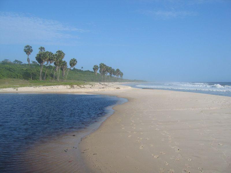 Photos: Gabon (pictures, images)