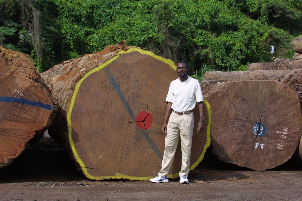 Photos: Gabon (pictures, images)