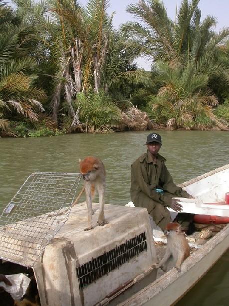 Photos: Gambia, The (pictures, images)