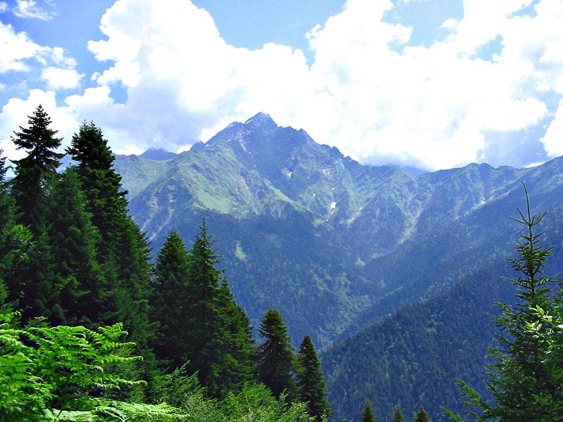 Photos: Georgia (pictures, images)