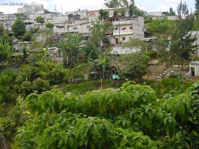Photos: Guatemala (pictures, images)