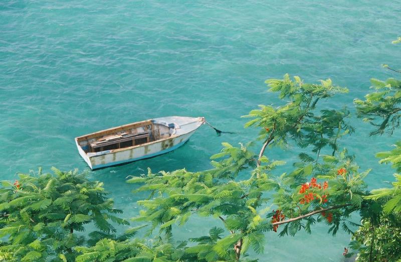 Photos: Jamaica (pictures, images)