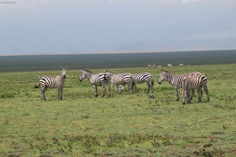 Photos: Kenya (pictures, images)