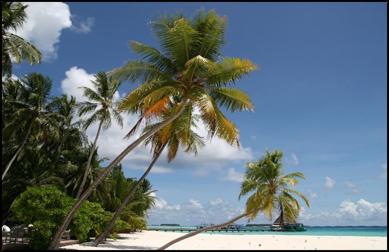 Photos: Maldives (pictures, images)
