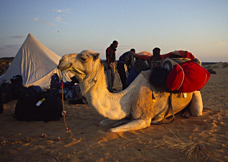 Photos: Mauritania (pictures, images)
