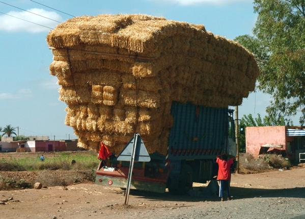 Photos: Morocco (pictures, images)