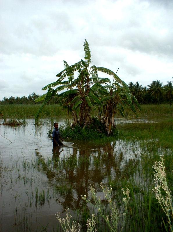 Photos: Mozambique (pictures, images)