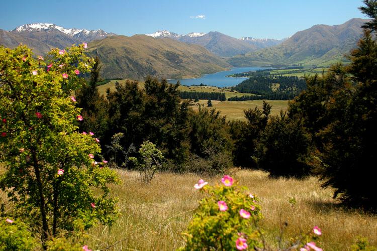 Photos: New Zealand (pictures, images)