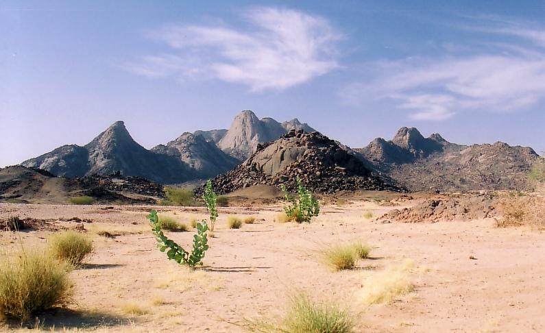 Photos: Niger (pictures, images)