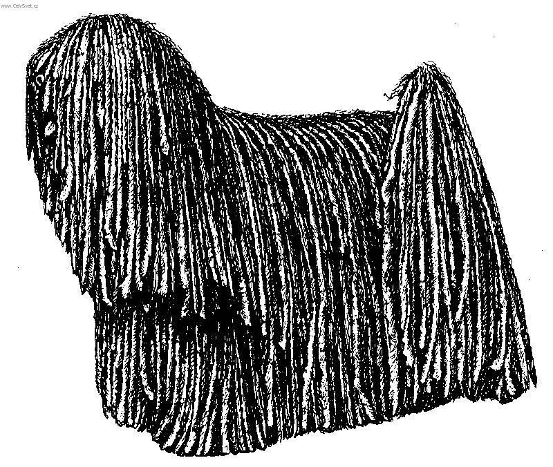 Photos: Puli (Dog standard) (pictures, images)