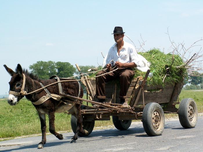 Photos: Romania (pictures, images)