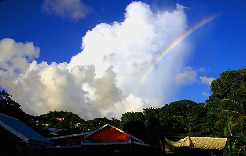Photos: Saint Vincent and the Grenadines (pictures, images)