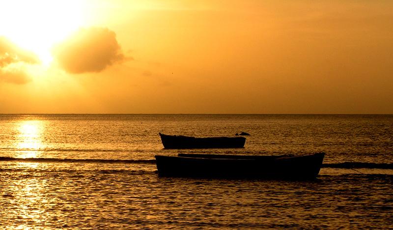 Photos: Seychelles (pictures, images)