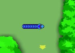 Photos: Snaket (online flash game) (pictures, images)