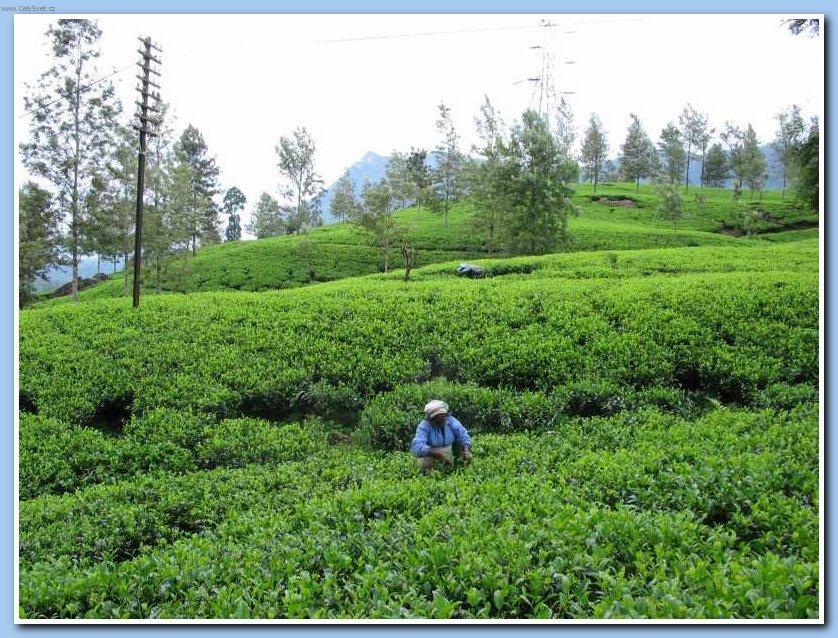 Photos: Sri Lanka (pictures, images)