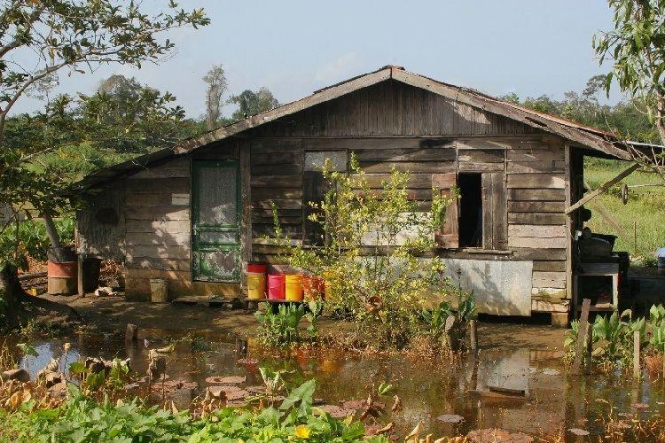 Photos: Suriname (pictures, images)