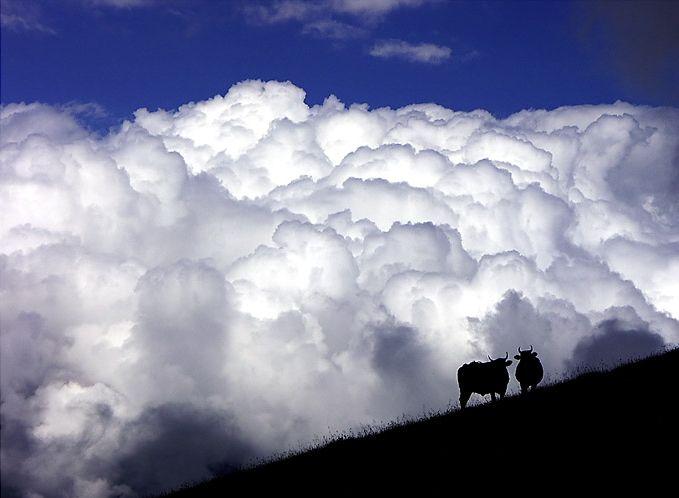 Photos: Swaziland (pictures, images)