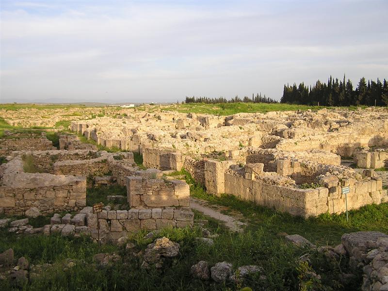 Photos: Syria (pictures, images)