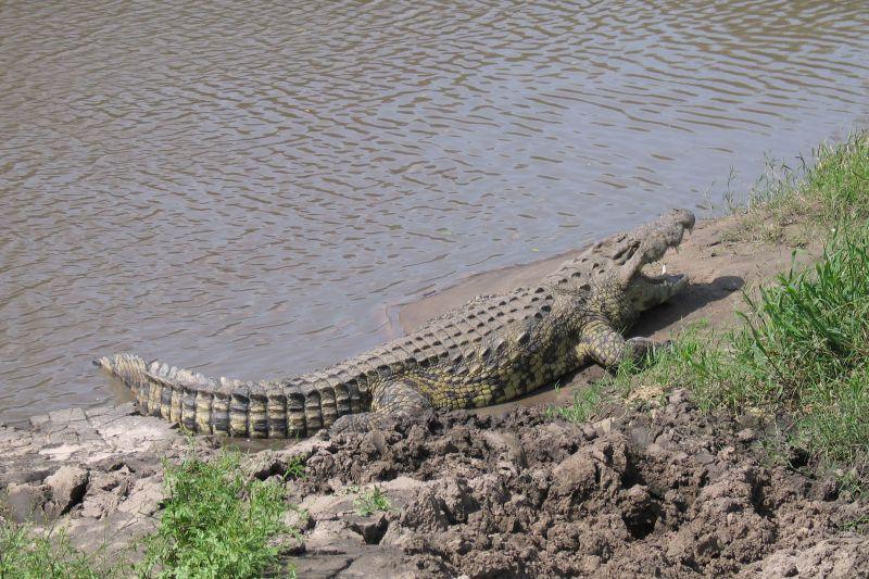 Photos: Tanzania (pictures, images)