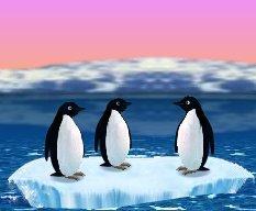 Photos: Turbo penguins (online flash game) (pictures, images)