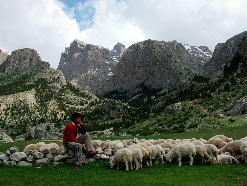 Photos: Turkey (pictures, images)