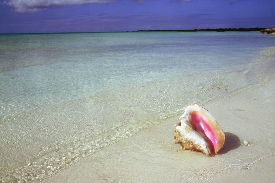 Photos: Turks and Caicos Islands (pictures, images)
