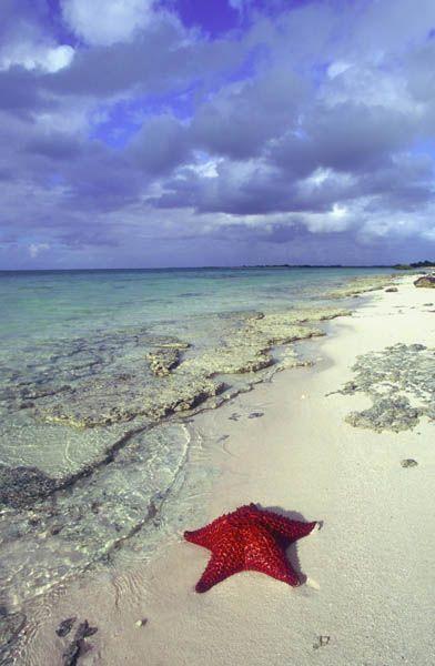 Photos: Turks and Caicos Islands (pictures, images)