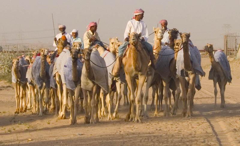 Photos: United Arab Emirates (pictures, images)