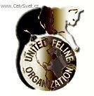 Photos: United Feline Organisation (UFO) (pictures, images)