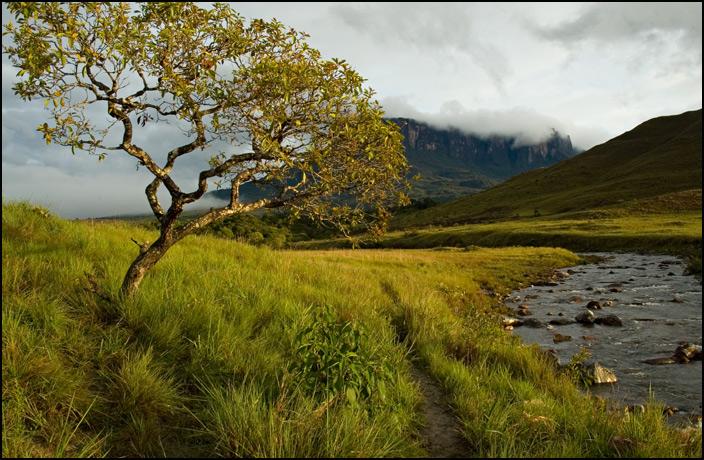 Photos: Venezuela (pictures, images)