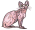 Without hair cats