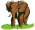 Countries (world), travel: Afriky