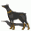 Guard dogs / Dogs, breed