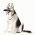 Sheepdogs and Cattle Dogs / Dogs, breed