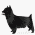 Terriers / Dogs, breed