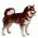 Spitz and Primitive types / Dogs, breed