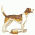 Scenthounds and Related Breeds / Dogs, breed
