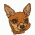 Companion and Toy Dogs