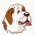 Big dogs / Dogs, breed