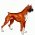 Medium dogs / Dogs, breed