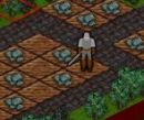Играть игру онлайн и бесплатно: Protector