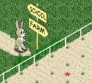 Play free game online: Animal Step 4