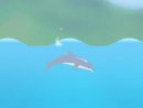 Play game free and online: Dolphin Cup