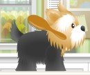 Play free game online: Pet Grooming Studio