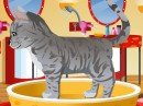 Play game free and online: Petz Fashion